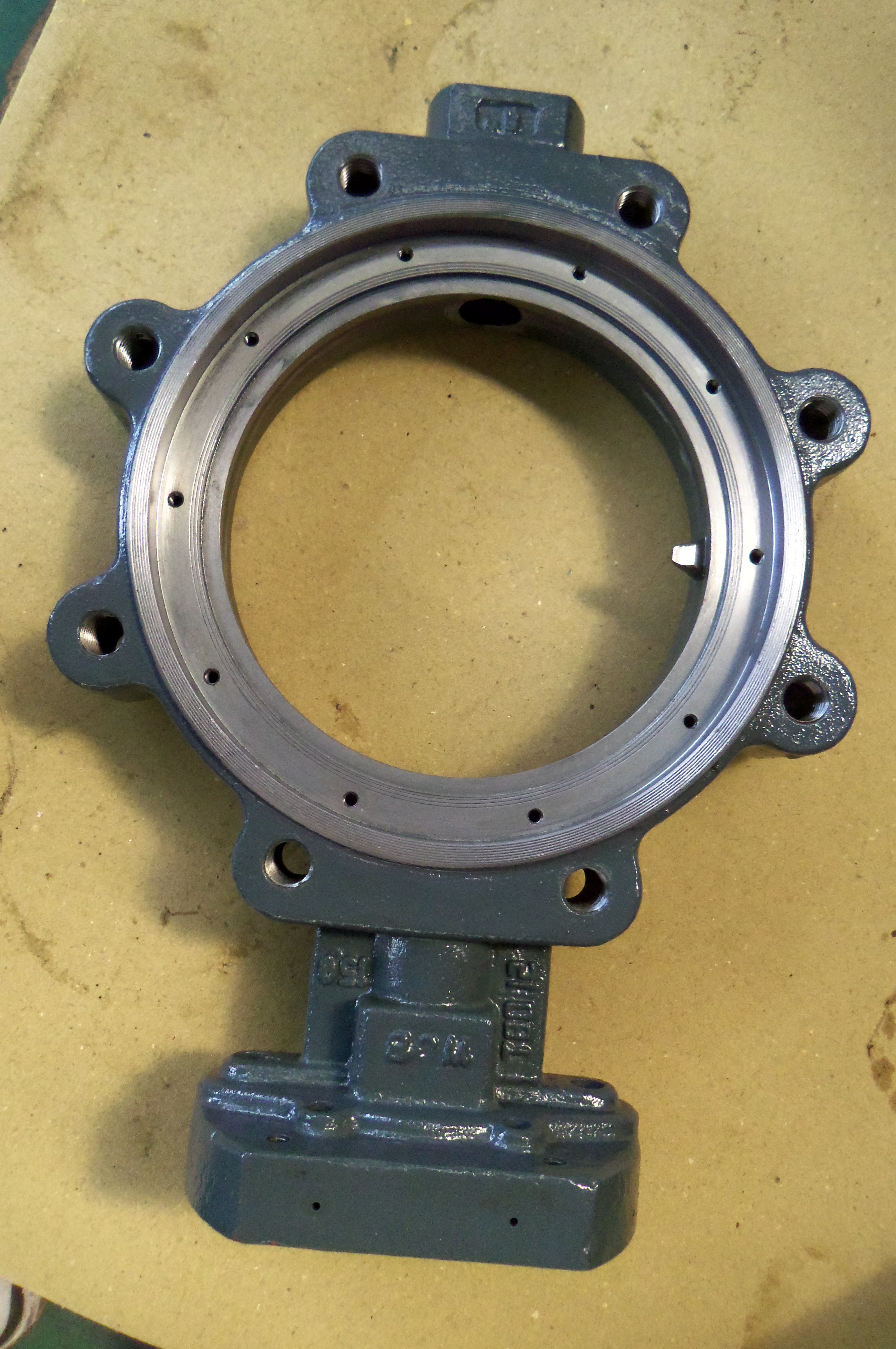 Butterfly Valve WCB valve body